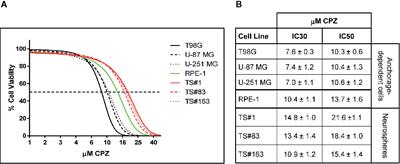 Anticancer Properties of the Antipsychotic Drug Chlorpromazine and Its Synergism With Temozolomide in Restraining Human Glioblastoma Proliferation In Vitro